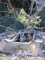 LA SENIA CIMETIERE (7) 2005